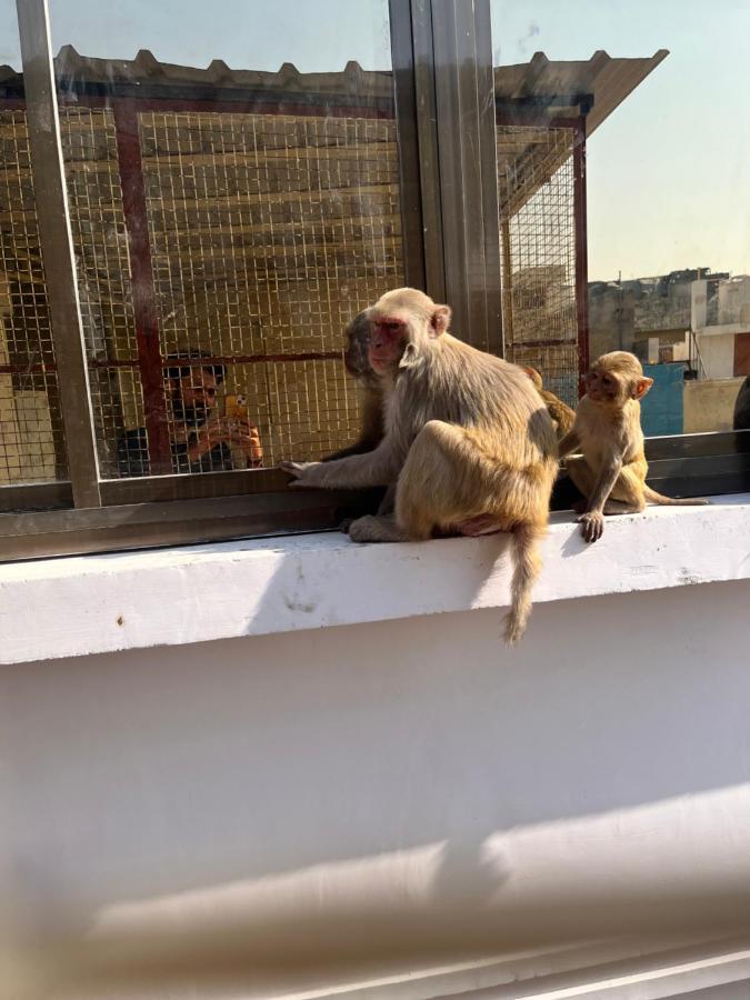 Yogi Soul Hotell Varanasi Exteriör bild